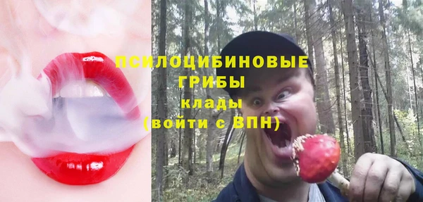 круглые Алексин