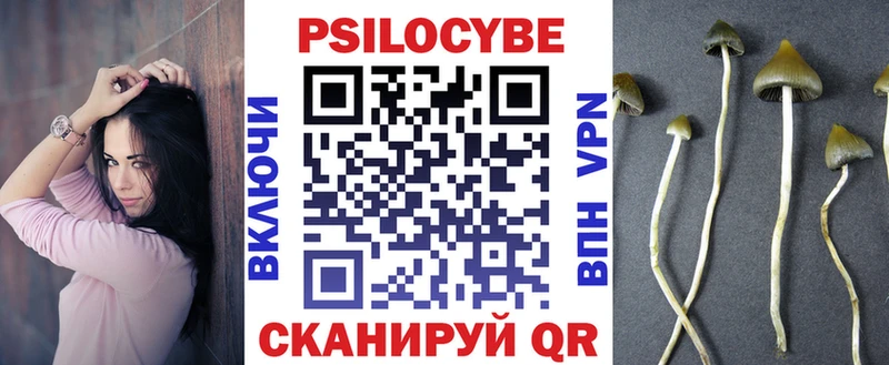 omg ССЫЛКА  купить наркоту  Тогучин  Псилоцибиновые грибы Psilocybine cubensis 